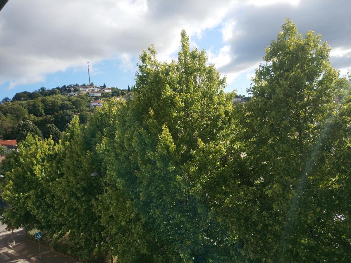 Alto Minho Central Apartment باريديس دي كورا المظهر الخارجي الصورة